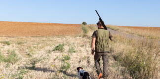 Ecologistas en acción caza mayor