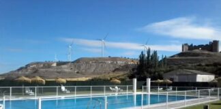 hormillos de cerrato pisci