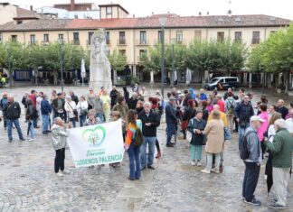 Palencia no es tierra de ‘manifas’ Manifestantes a favor del Soterramiento en la Plaza Mayor, durante la celebración del Pleno.