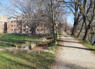 La Plataforma Salvemos la Dársena acusa al Ayuntamiento de ocultar el informe del PERI5