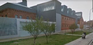 Almendros junto al Lecrac, en la calle San José de la capital. / Google Street View