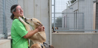 Centro de acogida de animales Scooby de Palencia