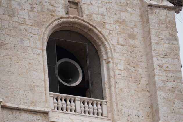 San Antol&iacute;n 2023 en Palencia - Aida Acitores