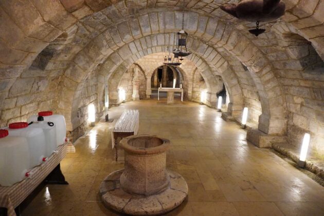 San Antol&iacute;n 2023 en Palencia - Aida Acitores