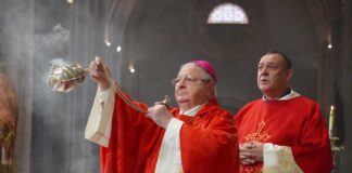 San Antolín 2023 en Palencia - Aida Acitores