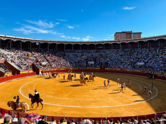 Toros San Antol&iacute;n 1 de septiembre 2023 - Roberto Lagartos