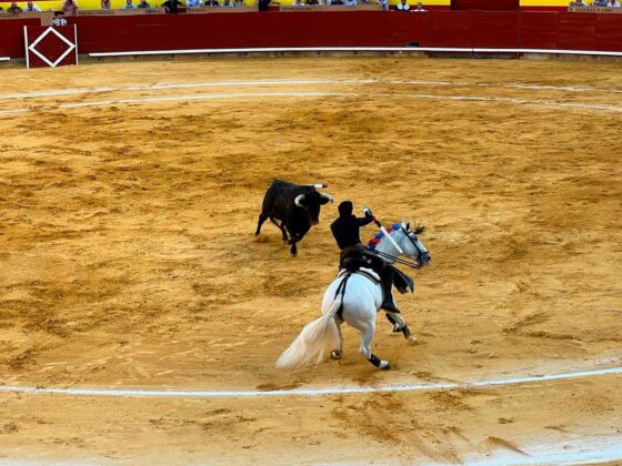 Toros San Antol&iacute;n 1 de septiembre 2023 - Roberto Lagartos