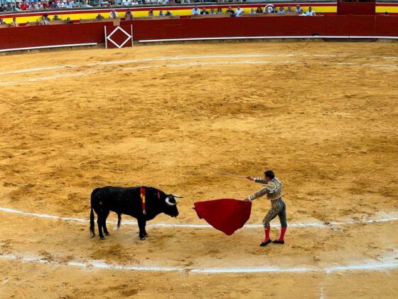 Toros San Antol&iacute;n 1 de septiembre 2023 - Roberto Lagartos