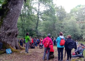 La Diputación adjudica la elaboración de un plan para la transición del sector turístico de la Montaña Palentina hacia una economía circular