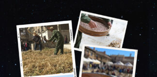 Cartel de la Feria de la Alubia de Saldaña 2023