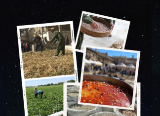 ¿Qué hacer en la Feria de la Alubia de Saldaña 2023? Aquí tienes el programa completo Cartel de la Feria de la Alubia de Saldaña 2023