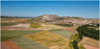 Yacimiento Pallantia en Palenzuela
