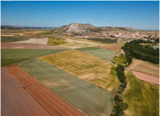 Yacimiento Pallantia en Palenzuela