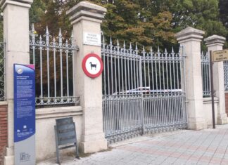 Parques cerrados en Palencia a causa del viento, con hasta 75 km/h