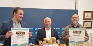 feria patata Herrera