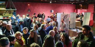 feria-del-queso-y-el-vino-cerrato