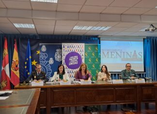 El Instituto ‘Tierra de Campos’ de Paredes de Nava, premio Menina por Palencia