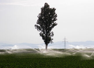 PGC 2026 – La mitad de los 168,3 millones en inversiones de Agricultura se dirigirían a transformación y nuevos regadíos y concentraciones parcelarias