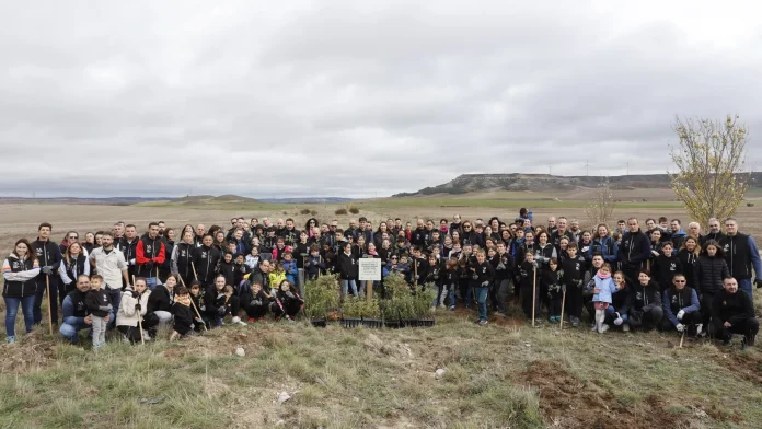 ranault bosque ranault bosque Villaviudas