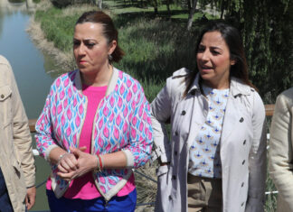 El Consejo de Ministros nombra mañana a Virginia Barcones nueva directora general de Protección Civil y Emergencias