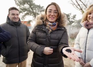 González Corral celebra la prórroga de las bonificaciones al transporte del Gobierno pero aclara que la Junta “continuará” con las suyas en 2024