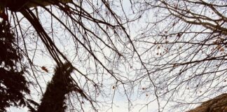 Certamen Provincial de Fotografía ‘Patrimonio Religioso en entornos naturales’