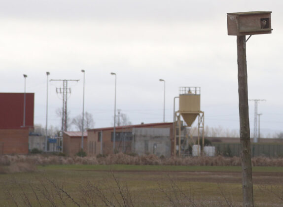 Nido de lechuza en la zona de Tierrra de Campos de Palencia donde se est&aacute; actuando contra el topillo campesino