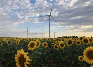 Iberdrola lanza una calculadora gratuita que ayuda a las empresas a ahorrar en la factura energética y reducir las emisiones