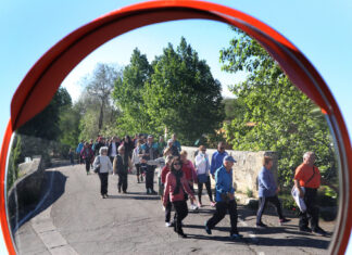¿Un nuevo puente en Palencia sobre el Canal para subir al Monte?