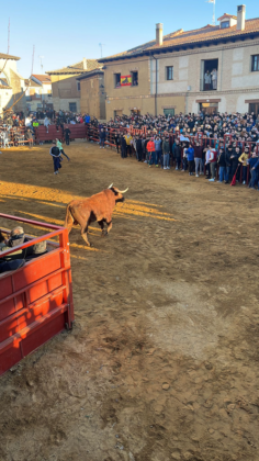 Fiesta de San Sebasti&aacute;n en Paredes de Nava - Encuentro de Coches Cl&aacute;sicos y Festejos Taurinos