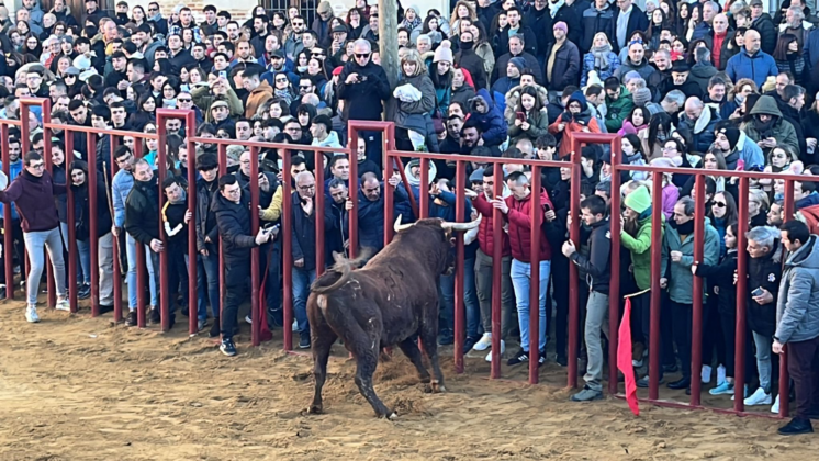 Fiesta de San Sebasti&aacute;n en Paredes de Nava - Encuentro de Coches Cl&aacute;sicos y Festejos Taurinos