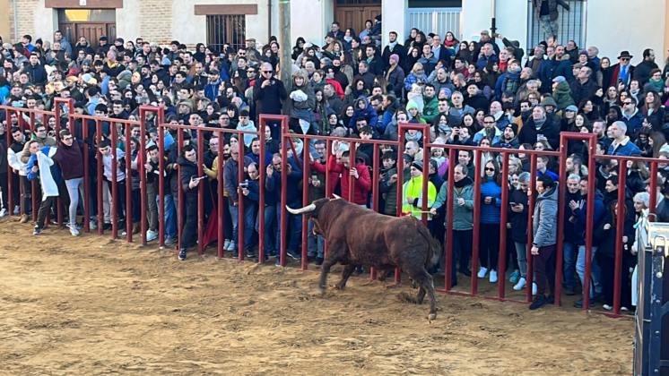 Fiesta de San Sebasti&aacute;n en Paredes de Nava - Encuentro de Coches Cl&aacute;sicos y Festejos Taurinos