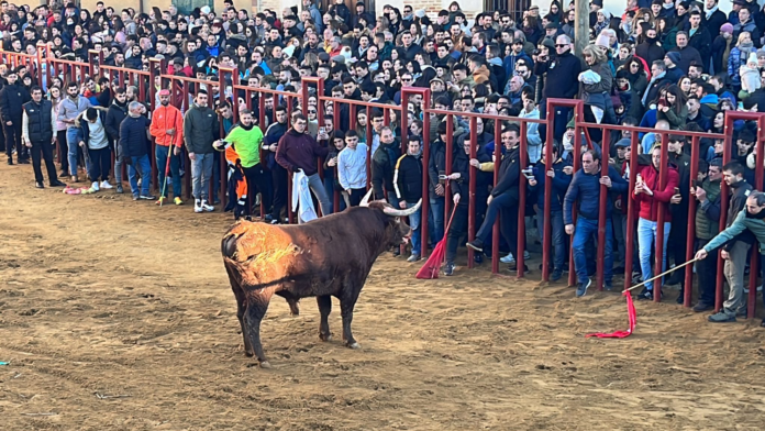 San Sebastián en Paredes de Nava (6) Fiesta de San Sebastián en Paredes de Nava - Encuentro de Coches Clásicos y Festejos Taurinos
