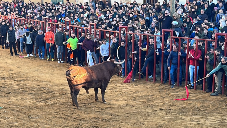Fiesta de San Sebasti&aacute;n en Paredes de Nava - Encuentro de Coches Cl&aacute;sicos y Festejos Taurinos