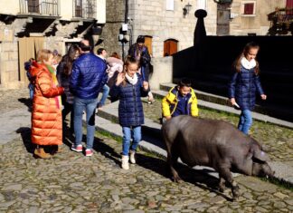 La suerte del marrano, para los niños oncológicos