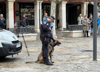 Amenaza al responsable de una clínica veterinaria y da positivo en el control de alcoholemia