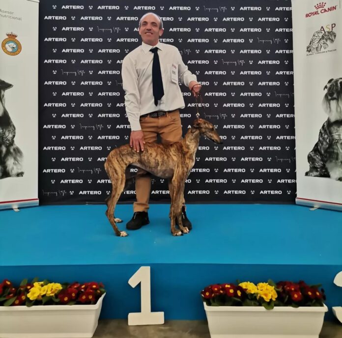 429654072_1172676827438069_8757919013549398983_n