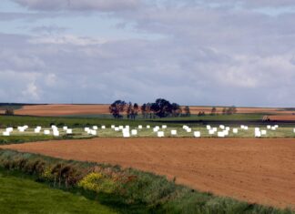 Bruselas aprueba la exención parcial del barbecho durante un año para recibir la PAC