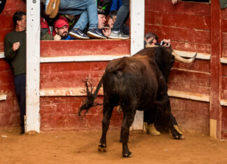 (Galería) La mañana del martes se salda en el Carnaval del Toro de Ciudad Rodrigo con siete intervenciones sanitarias