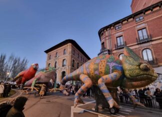 Carnaval de Palencia el sábado 10 de febrero de 2024