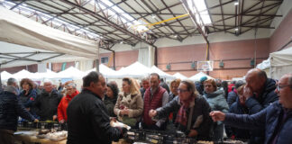 Feria de las Candelas en Saldaña 2024 setas micología micoturismo