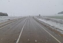 La Aemet adelanta a hoy el aviso amarillo por nevadas en zonas de montaña de Palencia