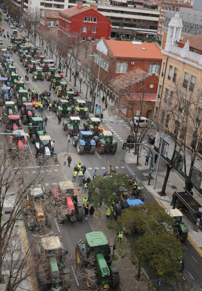 Tractorada Palencia (3)