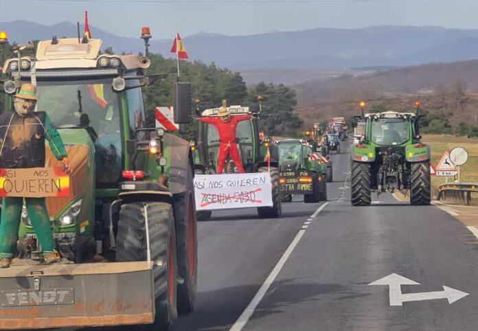 WhatsApp Image 2024-02-06 at 14.25.26