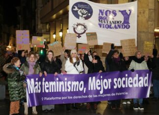 Galería: El 8M en Palencia