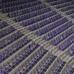 11ZUnder Madrid (14)