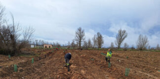 35 AFF PROYECTO DUEÑAS COMPENSACIÓN HUELLA DE CARBONO