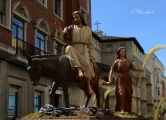 “La borriquilla” entra en Palencia al son de las palmas