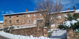 Nevada Brañosera 2024 marzo