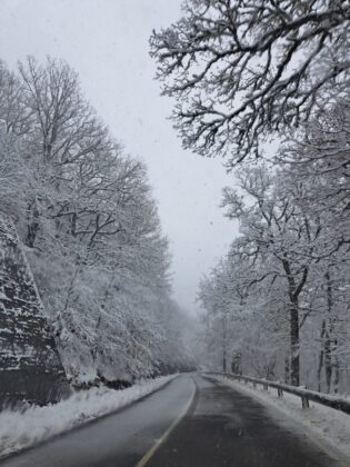 Nevada Bra&ntilde;osera 2024 marzo